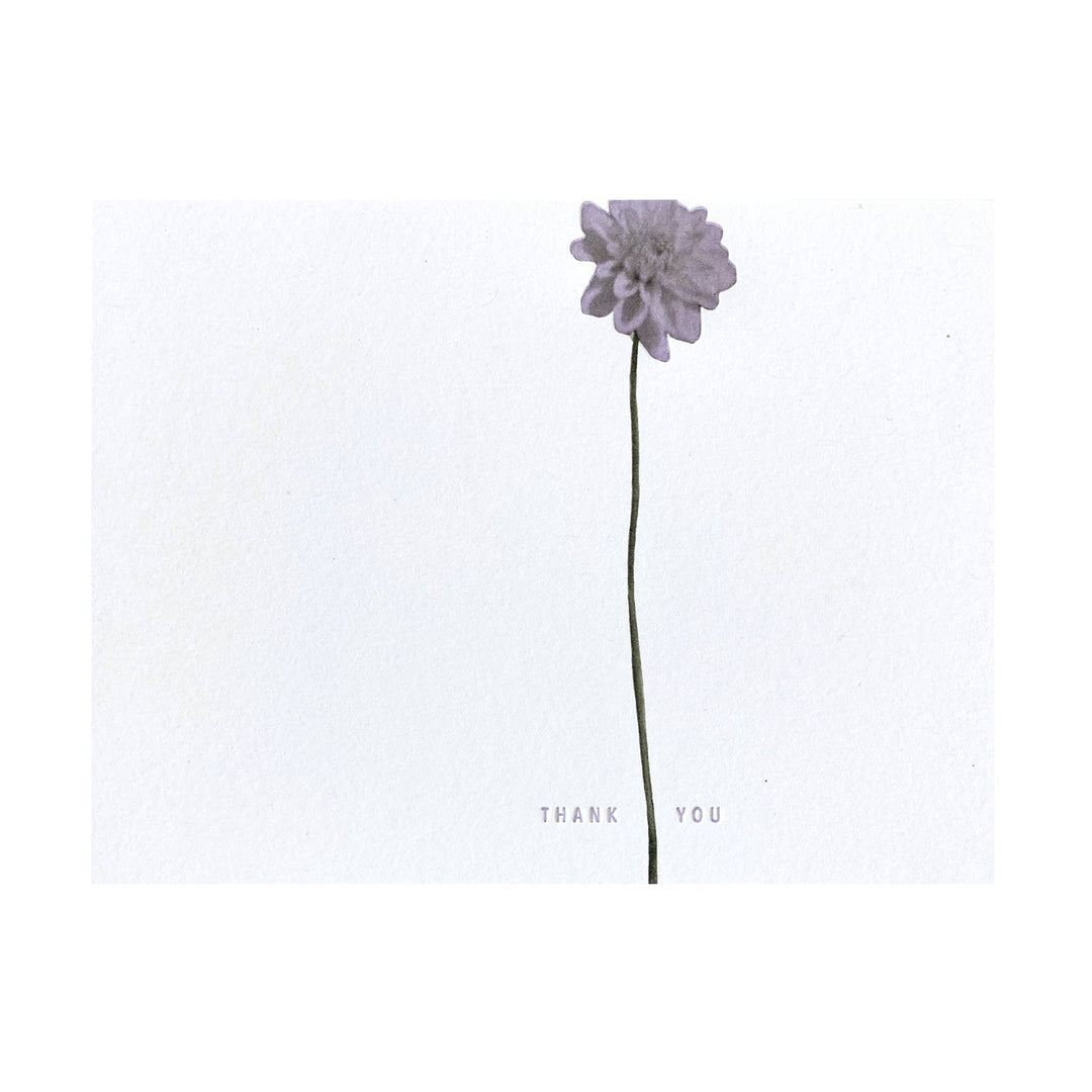 Dahlias Thank You Card