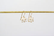 Berry Earrings