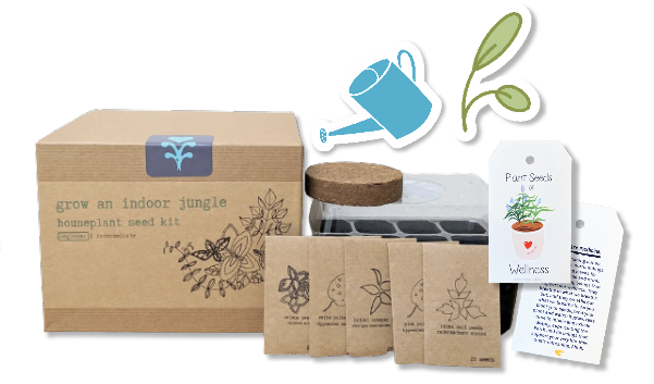 "Get Growing" Houseplant Jungle Kit