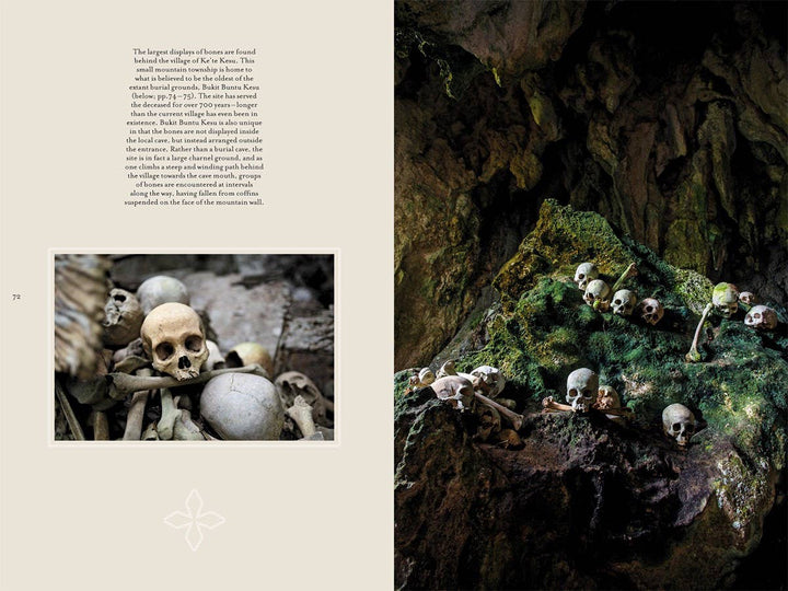 Memento Mori: The Dead Among Us